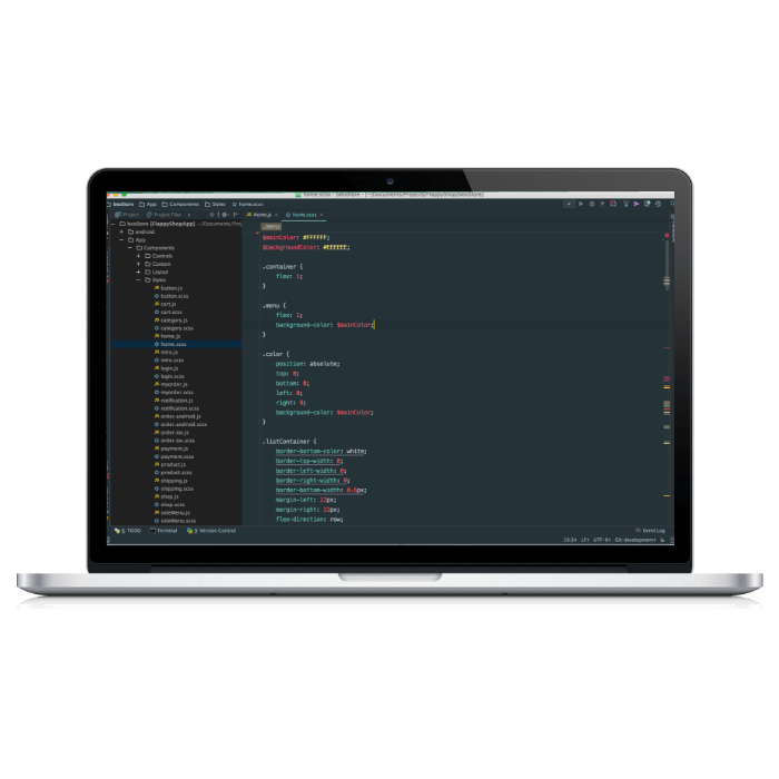 WordPress Development Company for the Enterprise - DevriX