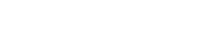 Senior Executive Media logo