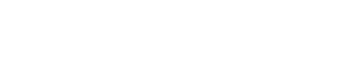 Vanguard News logo