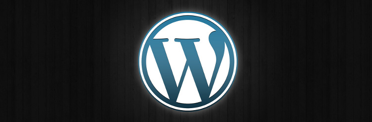 WordPress Development by DevriX