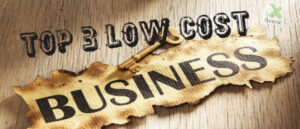 Don’t Have Enough Money to Start a Business? Top 3 Low Cost Business Ideas
