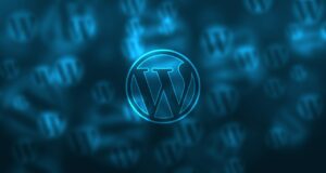 Build 10 Professional WP Sites When You’re Short on Budget