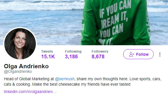Olga Andrienko's Twitter profile