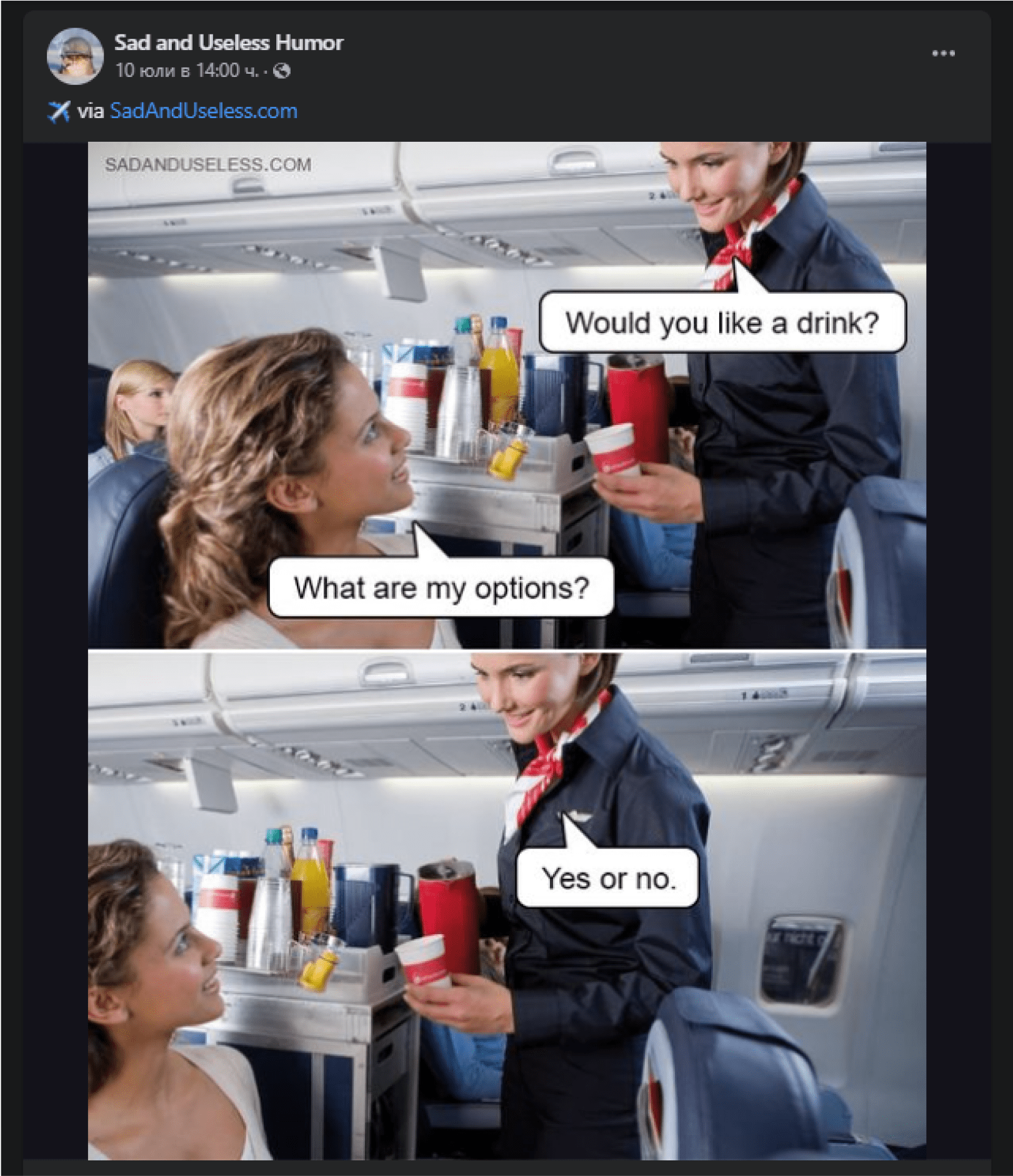 Humorous meme from Sad and Useless Humor showing a flight attendant with a caption bubble 'Would you like a drink?' and a passenger responding with 'What are my options?' followed by 'Yes or no.