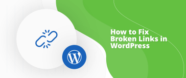 Fix Broken Links WordPress