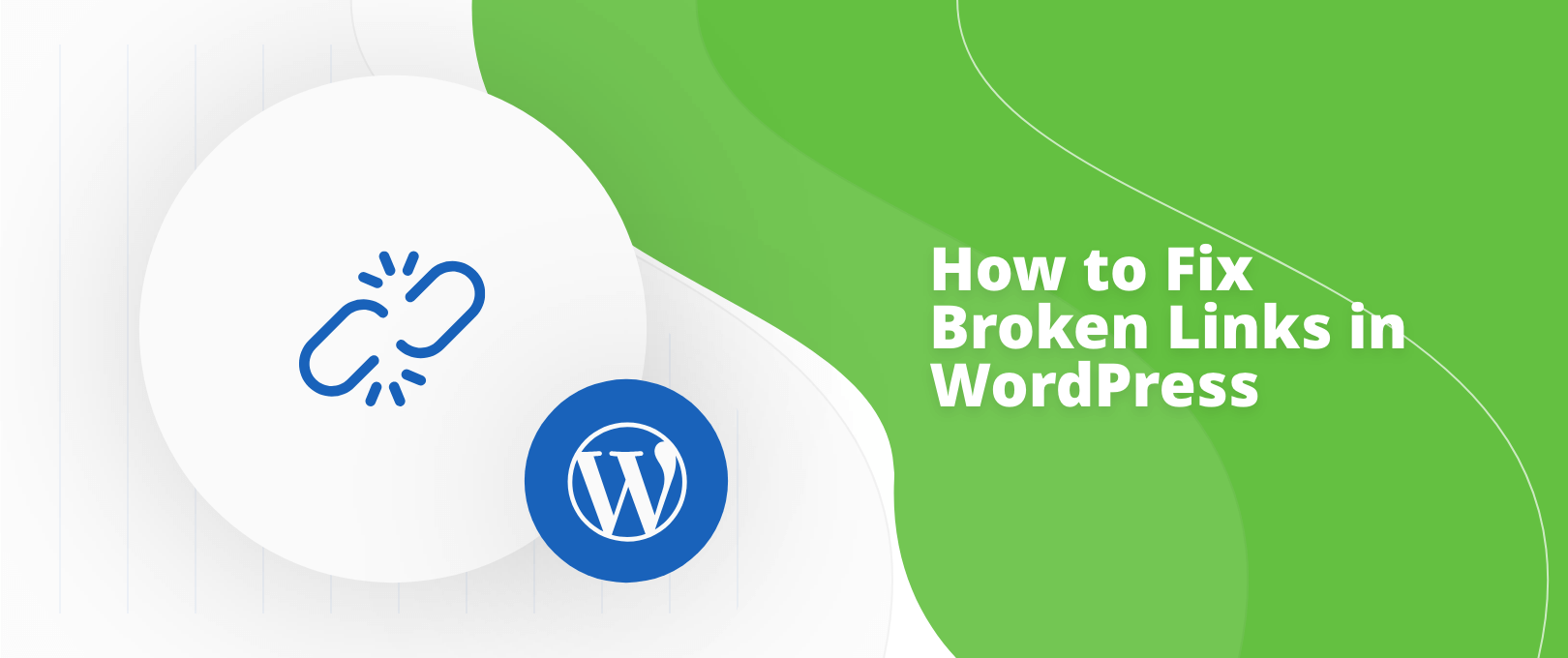 fix broken links in wordpress