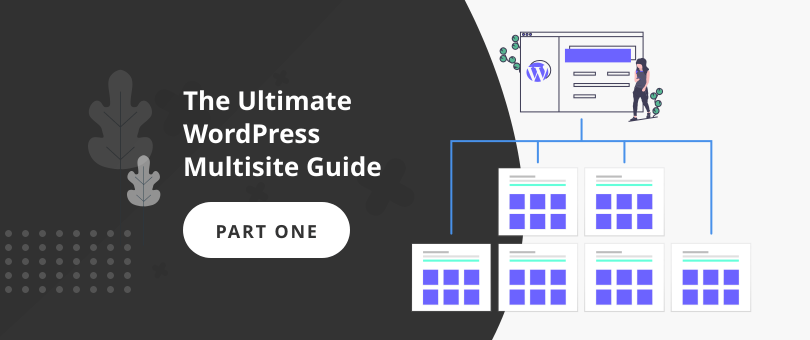 The Ultimate WordPress Multisite Guide - part one