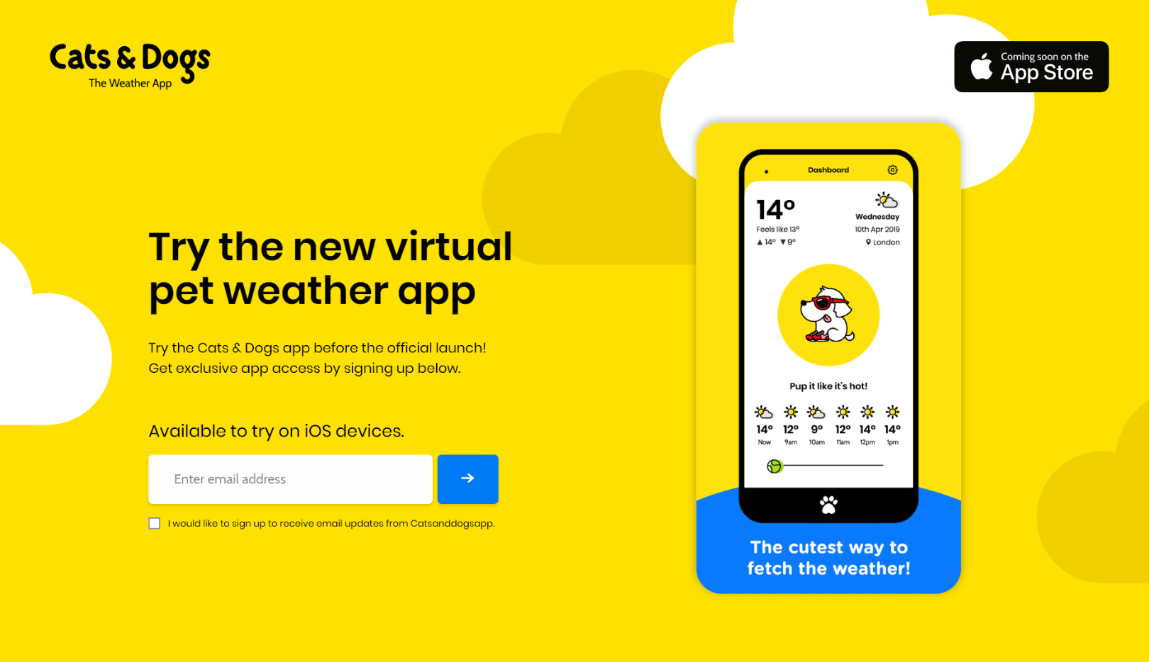 Cats & Dogs The Weather APP startup