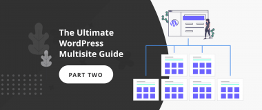 The Ultimate WordPress Multisite Guide - part two