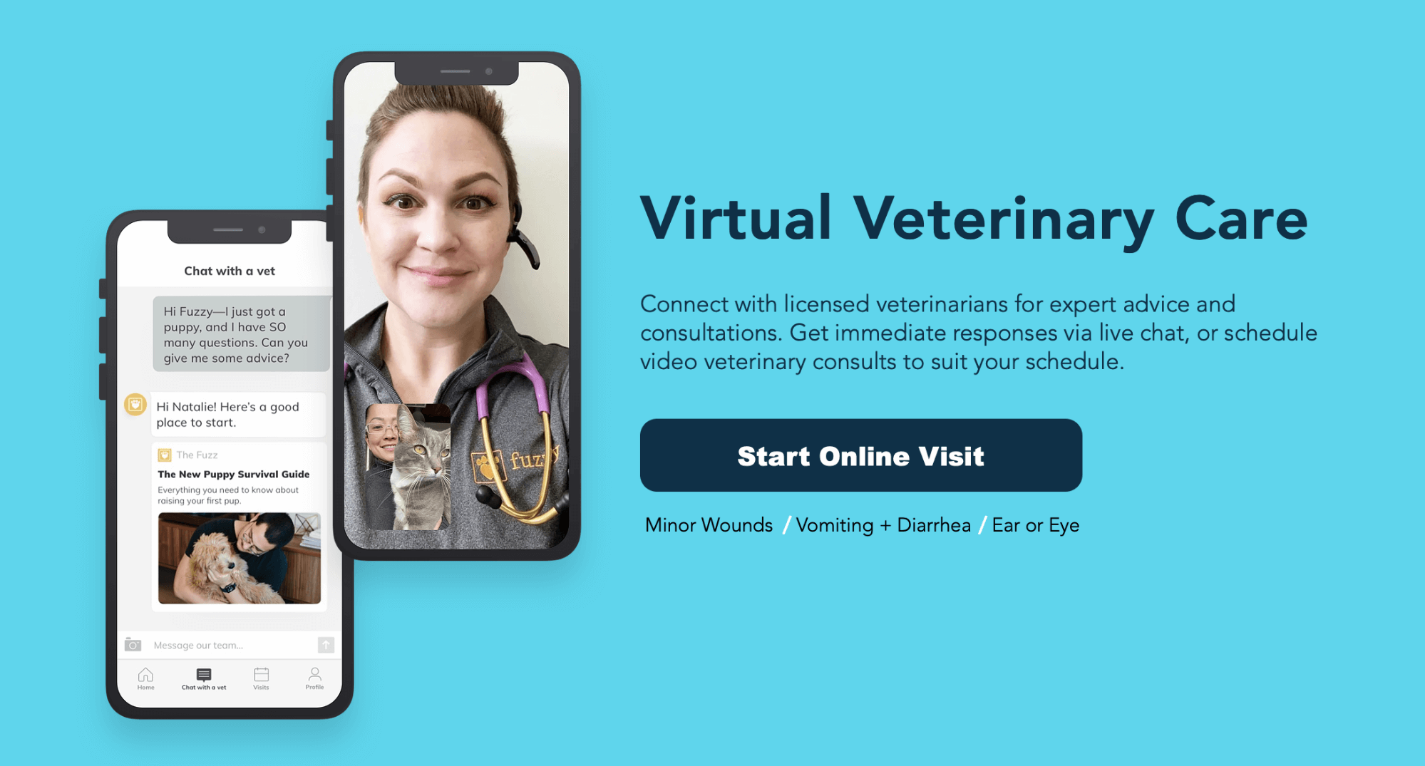 virtual veterinary care example