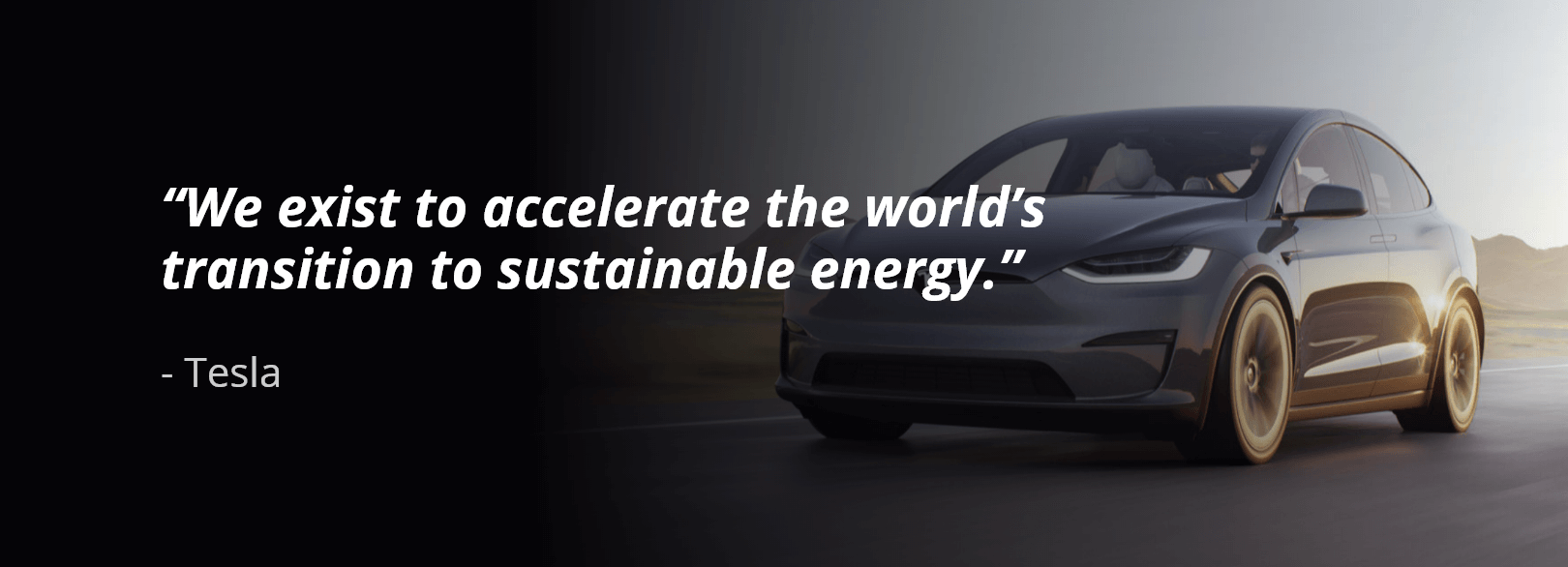 Tesla purpose statement