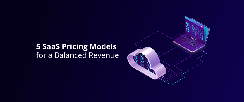 5 SaaS Pricing Models for a Balanced Revenue