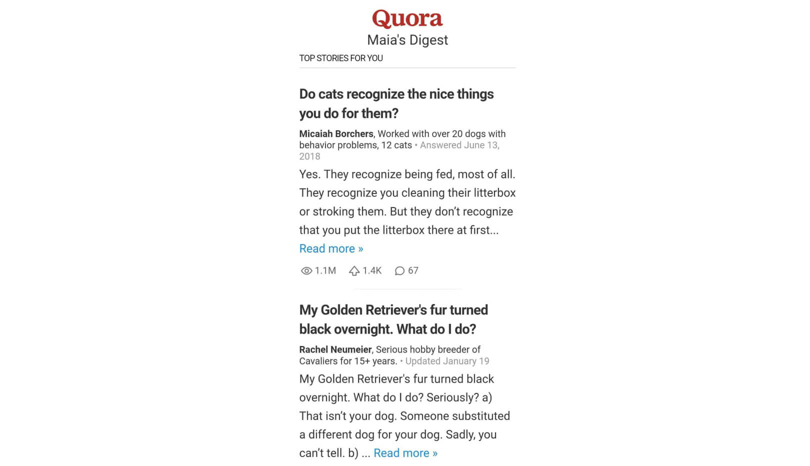 Post and Comment on Quora