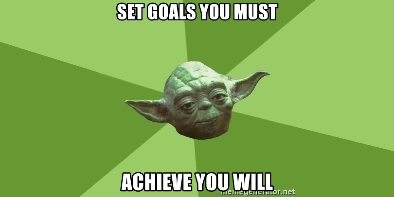 Set Goals and Evaluate Performance