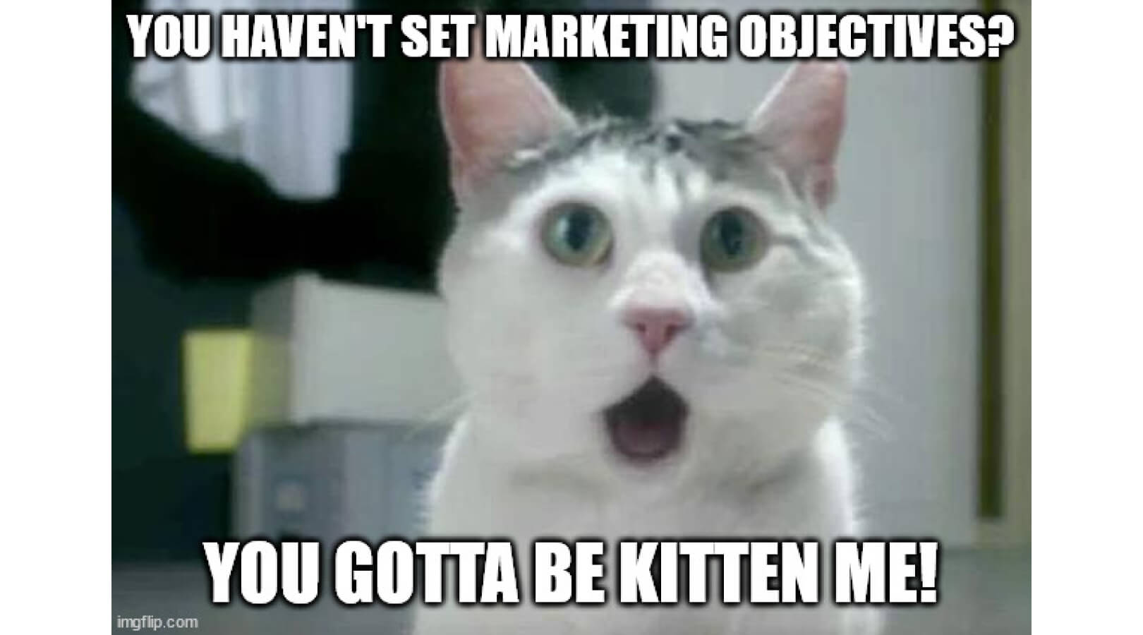 Why Are Marketing Objectives Important