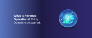 What Is Revenue Operations for Private Equity Portfolio Companies? 30 Questions Answered
