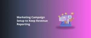 Marketing Campaign Setup to Keep Revenue Reporting